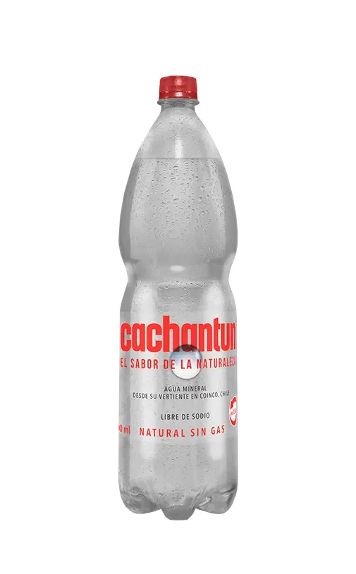 Agua sin Gas 1.6L Cachantun