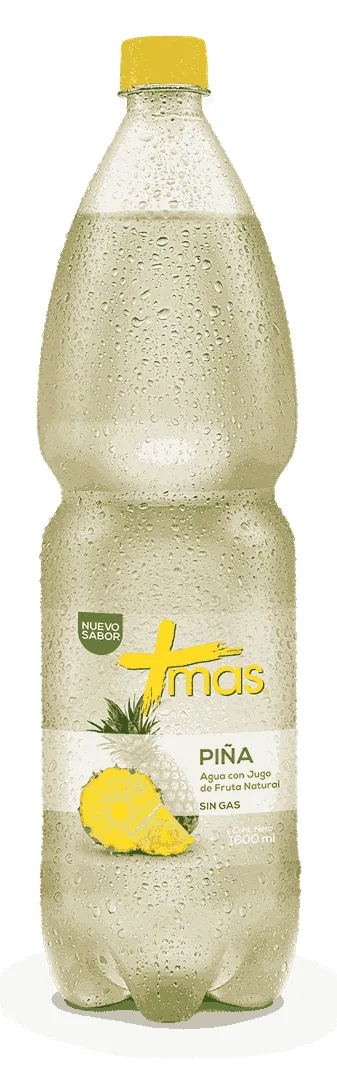 Agua Mas Piña 1.6L Cachantun