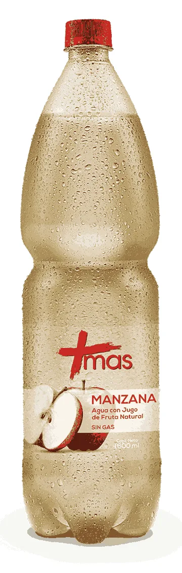 Agua Mas Manzana 1.6L Cachantun