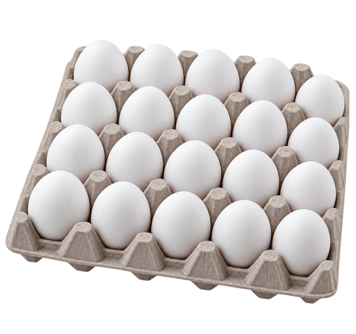 Bandeja de Huevos 20 Unidades Super