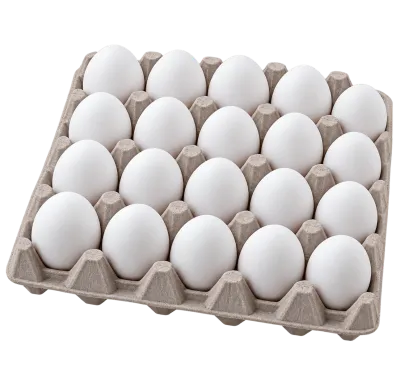 Bandeja de Huevos 20 Unidades Super