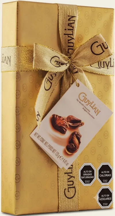 Chocolate Hazelnut Praliné 125g Guylian